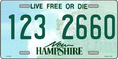 NH license plate 1232660