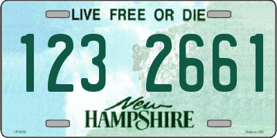 NH license plate 1232661