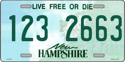 NH license plate 1232663