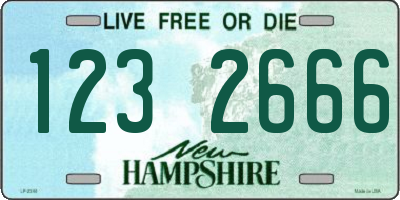 NH license plate 1232666