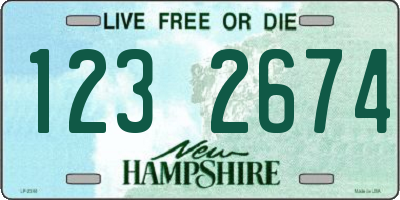 NH license plate 1232674