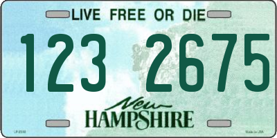 NH license plate 1232675