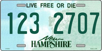 NH license plate 1232707