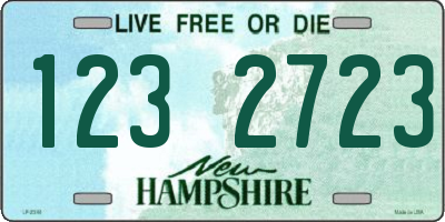 NH license plate 1232723