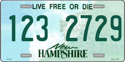 NH license plate 1232729