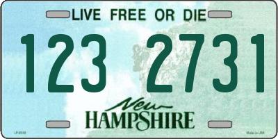 NH license plate 1232731