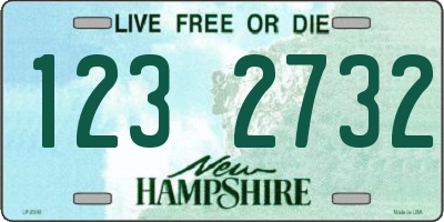 NH license plate 1232732