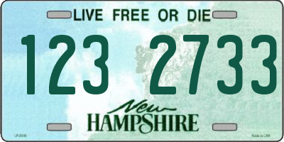 NH license plate 1232733