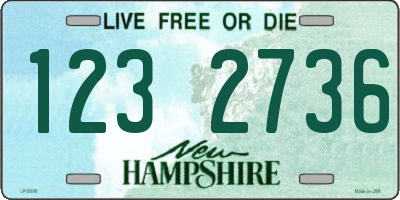 NH license plate 1232736