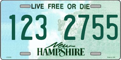 NH license plate 1232755