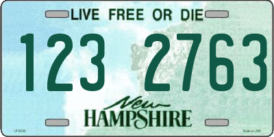 NH license plate 1232763