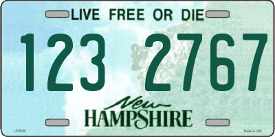 NH license plate 1232767
