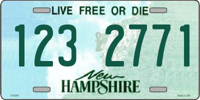 NH license plate 1232771