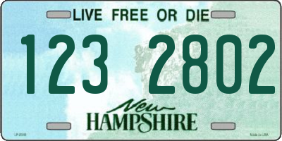 NH license plate 1232802