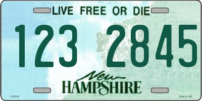 NH license plate 1232845