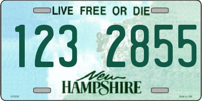 NH license plate 1232855