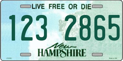 NH license plate 1232865
