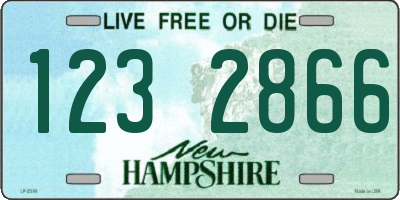 NH license plate 1232866