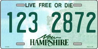 NH license plate 1232872