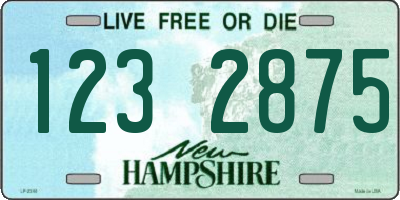 NH license plate 1232875