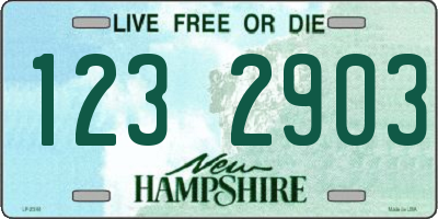 NH license plate 1232903
