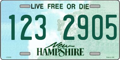 NH license plate 1232905
