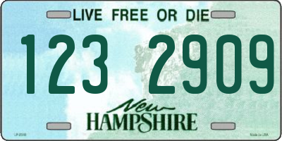 NH license plate 1232909