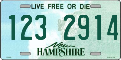 NH license plate 1232914