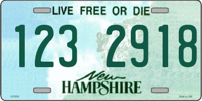 NH license plate 1232918