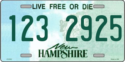 NH license plate 1232925