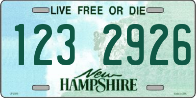 NH license plate 1232926