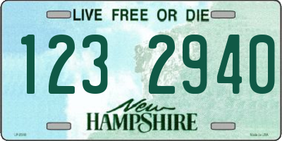 NH license plate 1232940