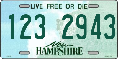 NH license plate 1232943
