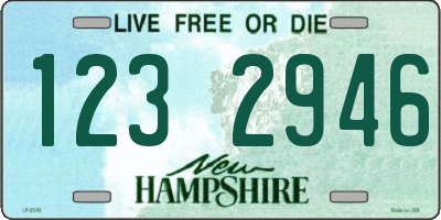 NH license plate 1232946