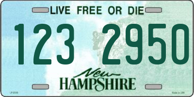 NH license plate 1232950