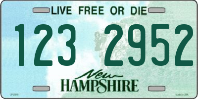 NH license plate 1232952