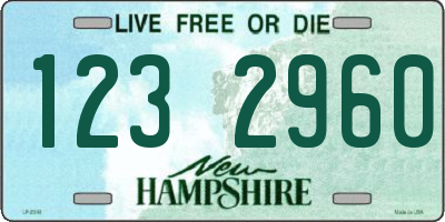 NH license plate 1232960