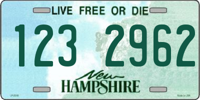NH license plate 1232962