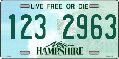 NH license plate 1232963