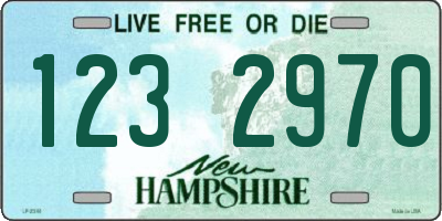 NH license plate 1232970
