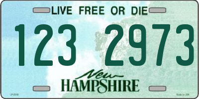 NH license plate 1232973