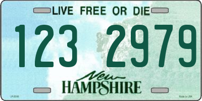 NH license plate 1232979