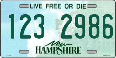NH license plate 1232986