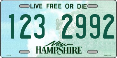 NH license plate 1232992