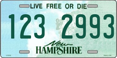 NH license plate 1232993