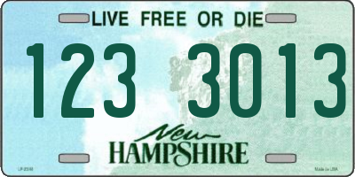 NH license plate 1233013