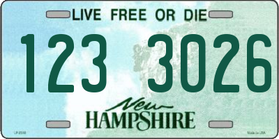 NH license plate 1233026