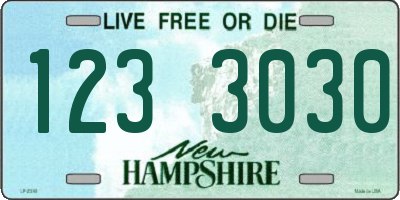 NH license plate 1233030