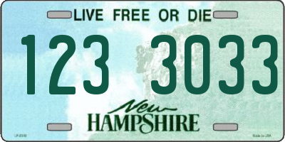 NH license plate 1233033