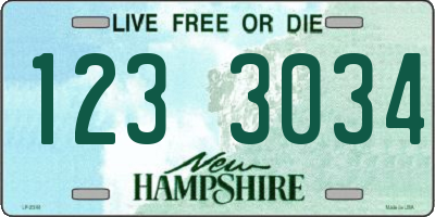 NH license plate 1233034